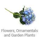 flowers_ornamentals_and_garden_plants