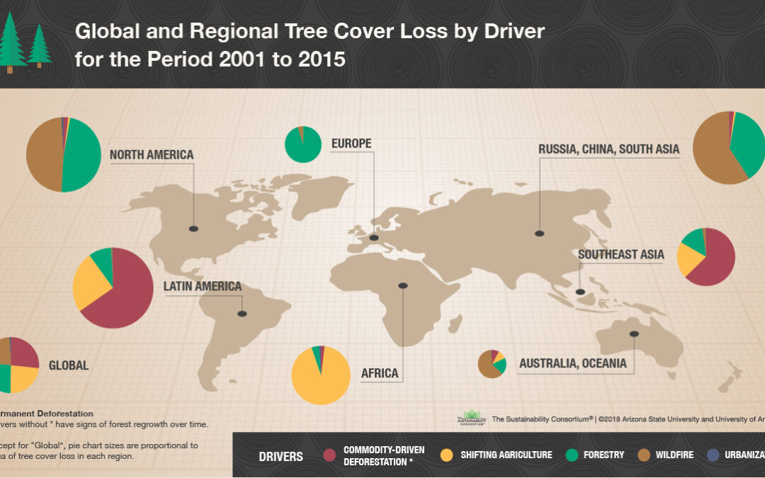 Global Forest Loss – Who’s in the driver’s seat?