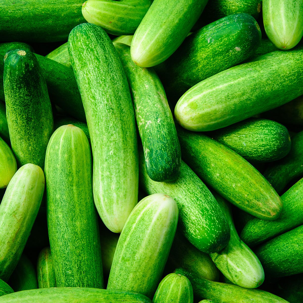 ecdb7f75-31dd-47bb-8fc8-74a8f823d559--cucumbers-getty