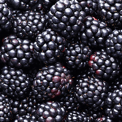 Fresh,Ripe,Blackberries,As,Background,,Top,View