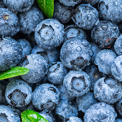 Water,Drops,On,Ripe,Sweet,Blueberry.,Fresh,Blueberries,Background,With
