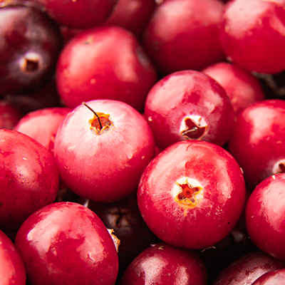 Cranberries,/,Wild,Berries,/,Cranberry,Background,/,Wild,Berry