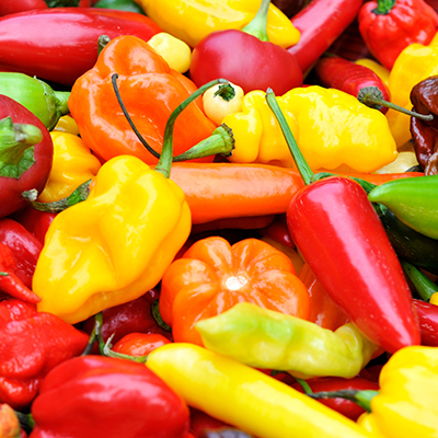 A,Colorful,Mix,Of,The,Freshest,And,Hottest,Chili,Peppers