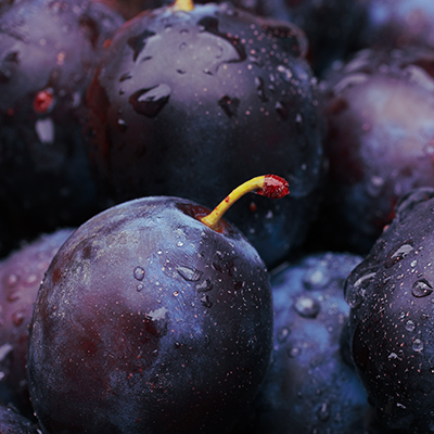 Background,Of,Beautiful,Home,Plums