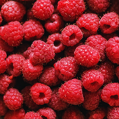 Ripe,Raspberries.berries.a,Handful,Of,Raspberries.scarlet.raspberry,Field.raspberry,Juic