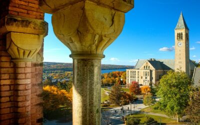 Cornell joins consortium to ‘green’ business supply chains