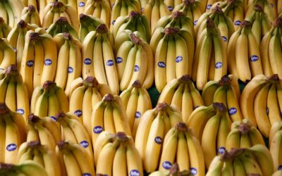 Can carbon labels on food help save the planet? It’s complicated
