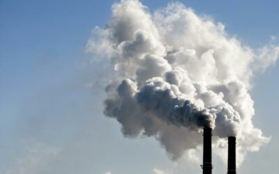 More Organizations Strive For Greener Supply Chains