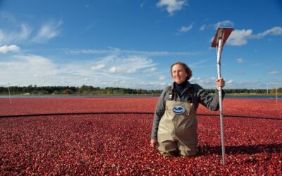 100% of Ocean Spray’s Cranberries Verified as Sustainably Grown Using FSA, becoming the First Fruit Cooperative Worldwide to achieve a 100% FSA Verification