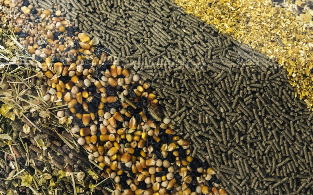 RESOURCE GUIDE ON SUSTAINABLE ANIMAL FEED