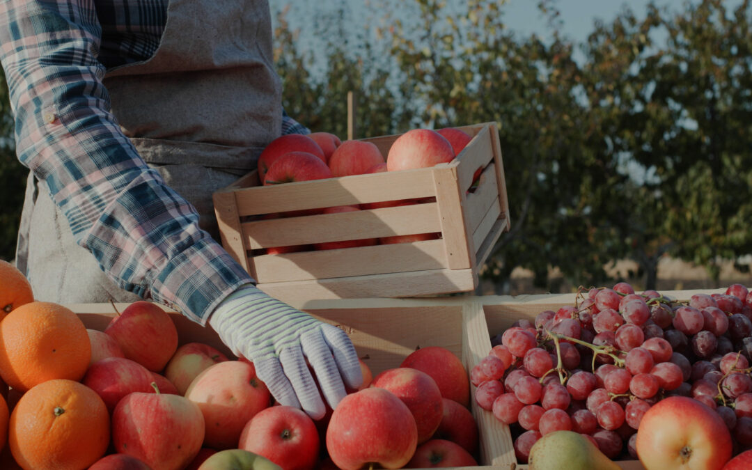 Driving Impact By Streamlined Reporting From Field To Retail