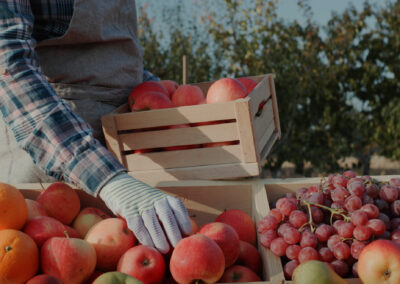 Driving Impact By Streamlined Reporting From Field To Retail