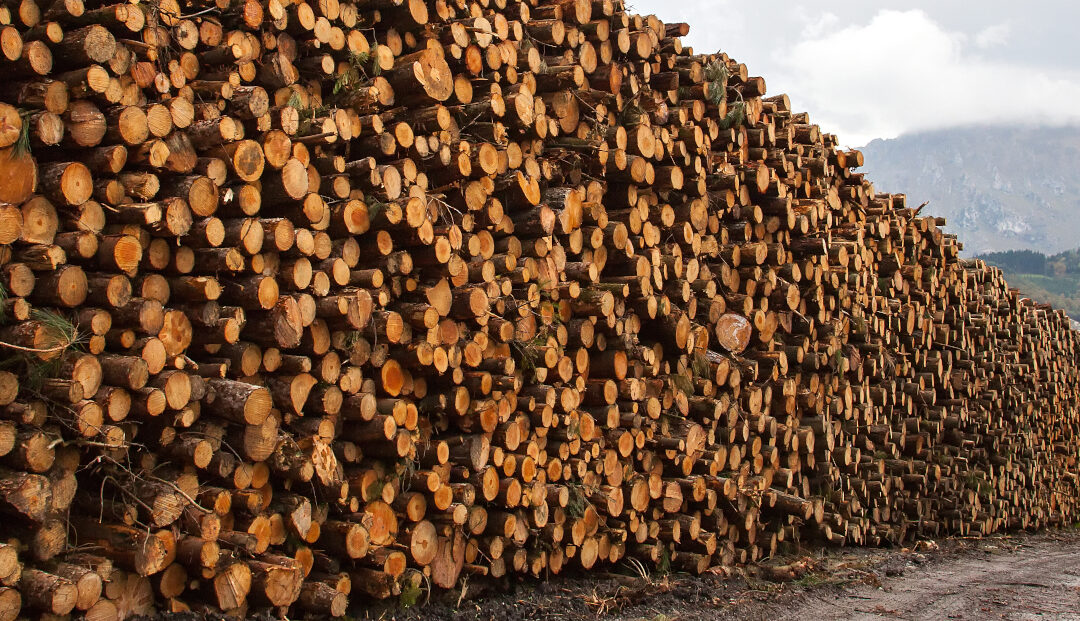 HELPING MAKE ALL CONSUMER PRODUCTS MORE SUSTAINABLE