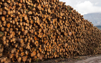 HELPING MAKE ALL CONSUMER PRODUCTS MORE SUSTAINABLE