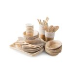 Disposable Dishware and Utensils