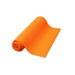 Exercise and Fitness Accessories