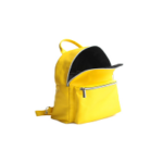 Backpacks and Briefcases