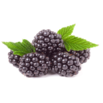 Blackberries