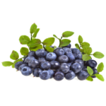 Blueberries
