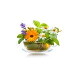 Herbal Tea Beverages