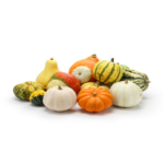 Pumpkin and Winter Squash