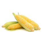 Sweet Corn