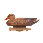 Targets and Decoys