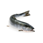 Wild-caught Salmon