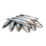 Wild-caught Sardines