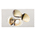 Wild-caught Shellfish