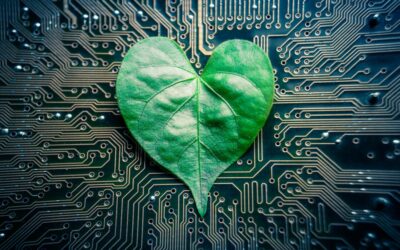 How ‘demand’ chains could increase profits while fighting climate change